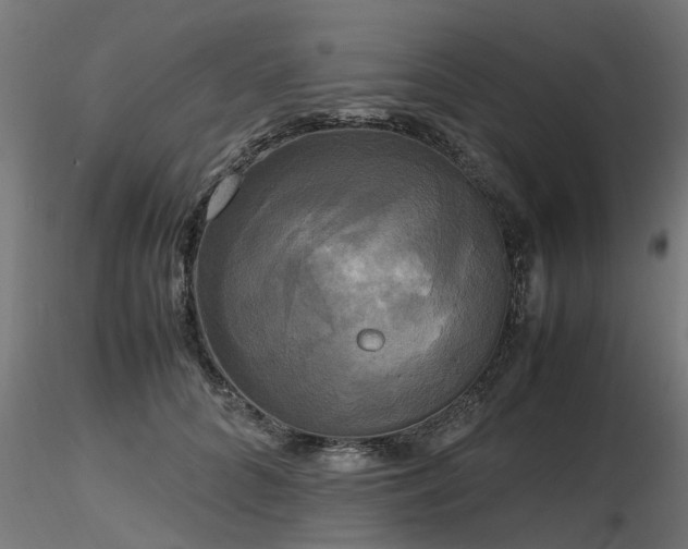 X0000116580704200912101541