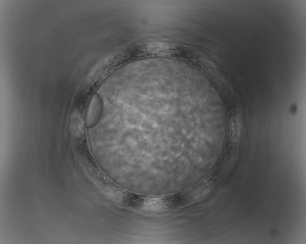 X0000116580705200912101541