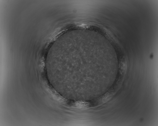 X0000116580707200912101540