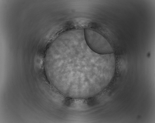 X0000116580709200912101540