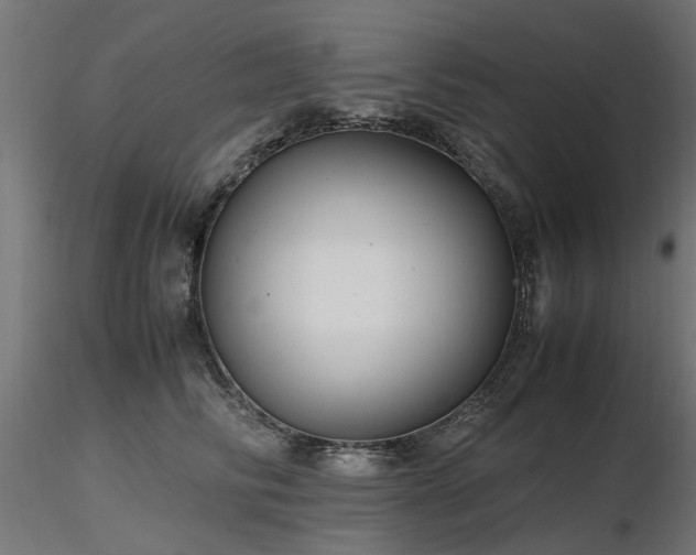 X0000116580710200912101540