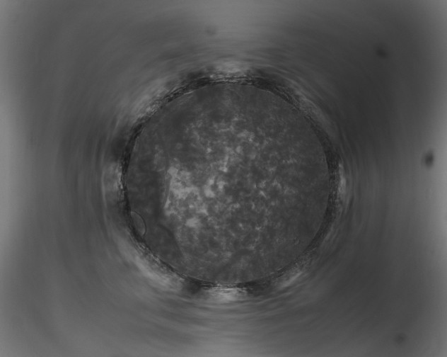 X0000116580711200912101540