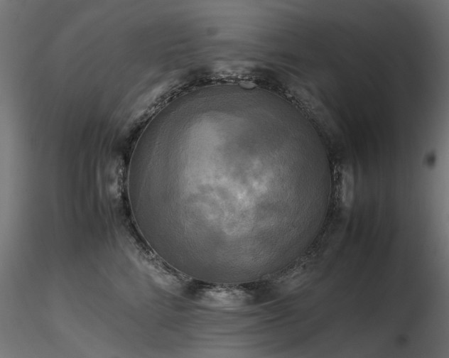 X0000116580712200912101540