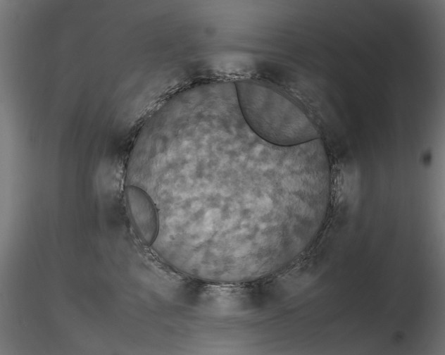 X0000116580713200912101540