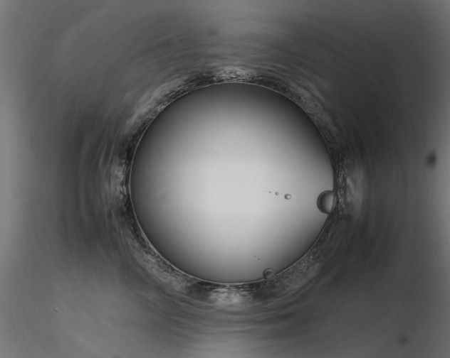 X0000116580714200912101540