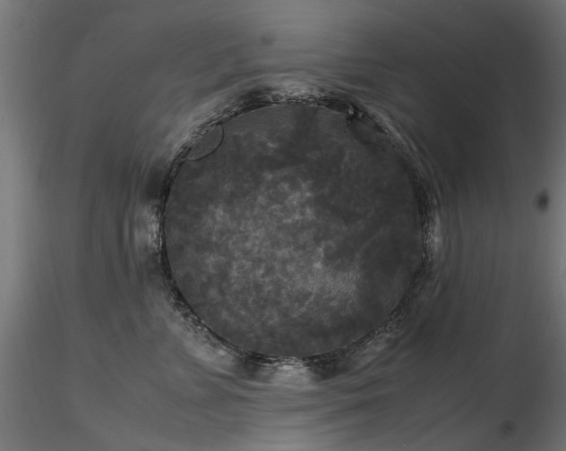 X0000116580715200912101540