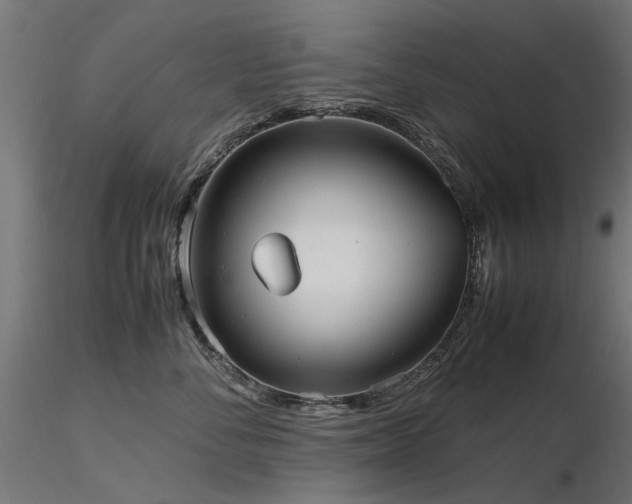 X0000116580716200912101540