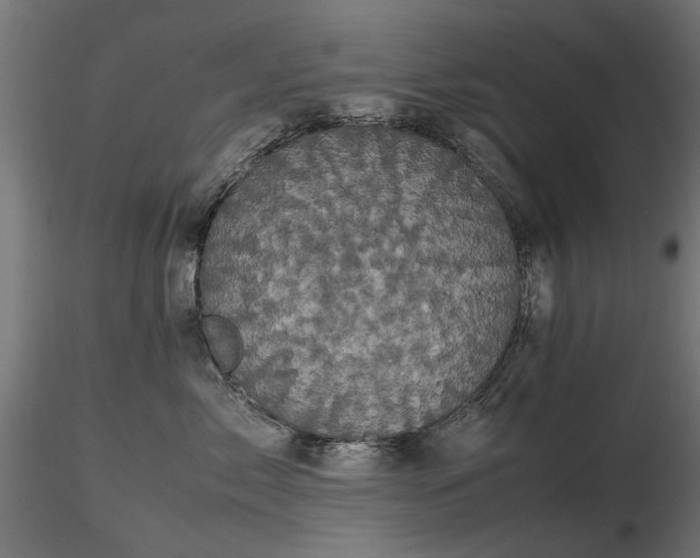 X0000116580717200912101540