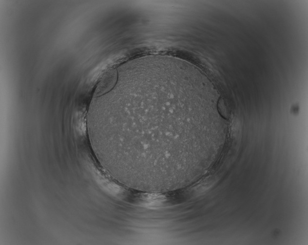 X0000116580719200912101540