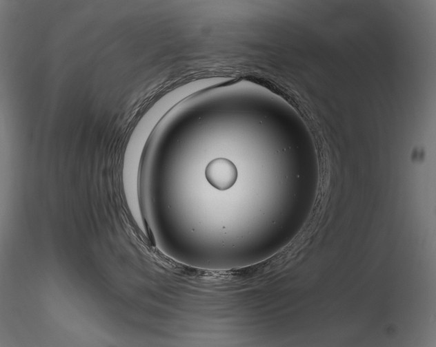 X0000116580720200912101540