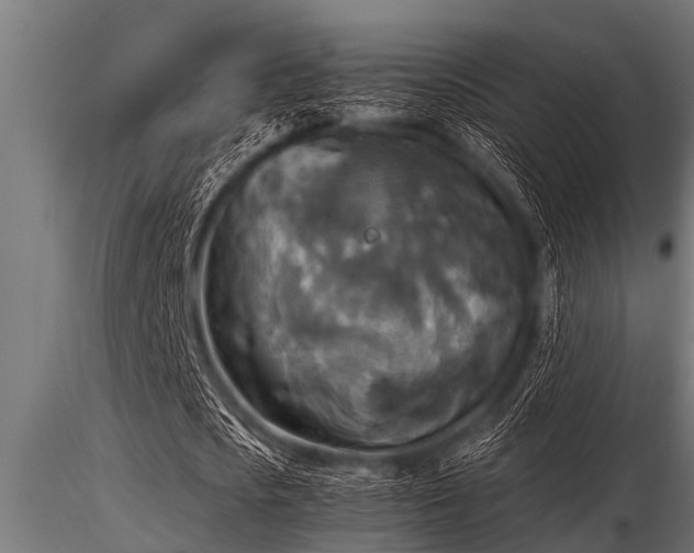 X0000116580721200912101539