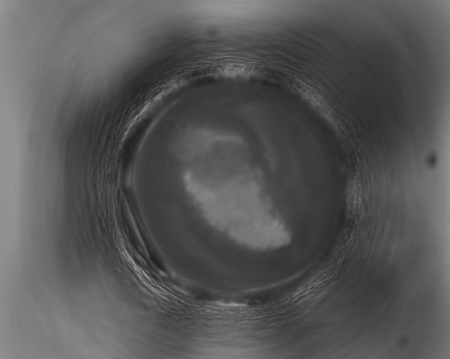 X0000116580722200912101539