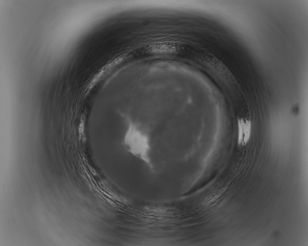 X0000116580723200912101539