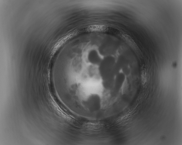 X0000116580725200912101540