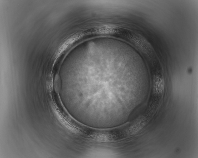 X0000116580726200912101540