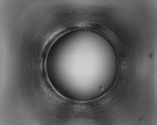 X0000116580727200912101540