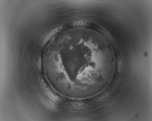 X0000116580729200912101540