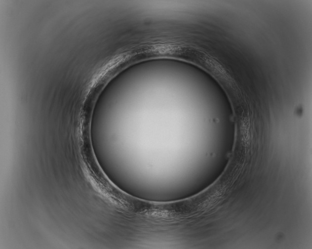 X0000116580730200912101540