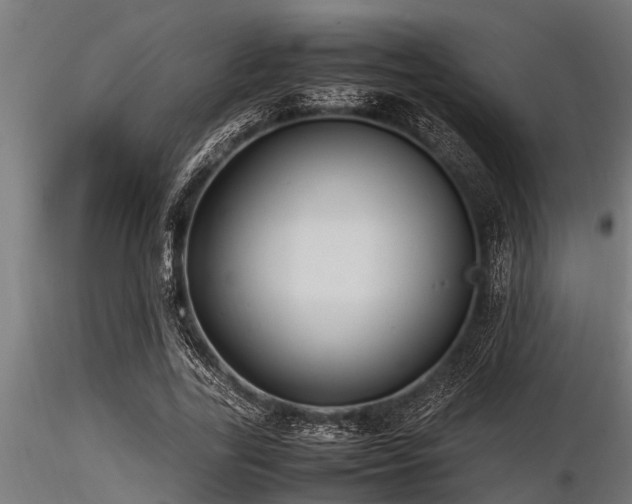 X0000116580731200912101540