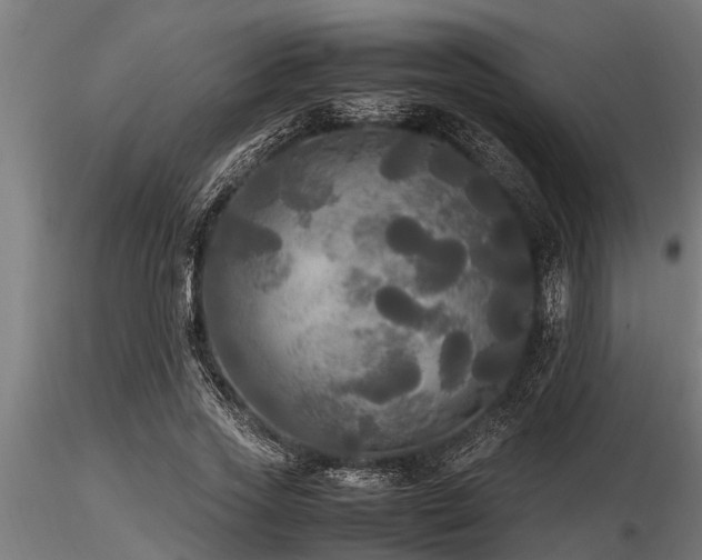 X0000116580733200912101540