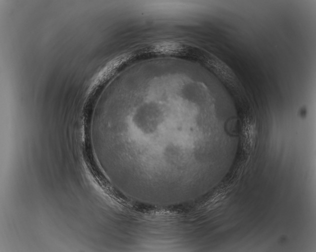 X0000116580734200912101540