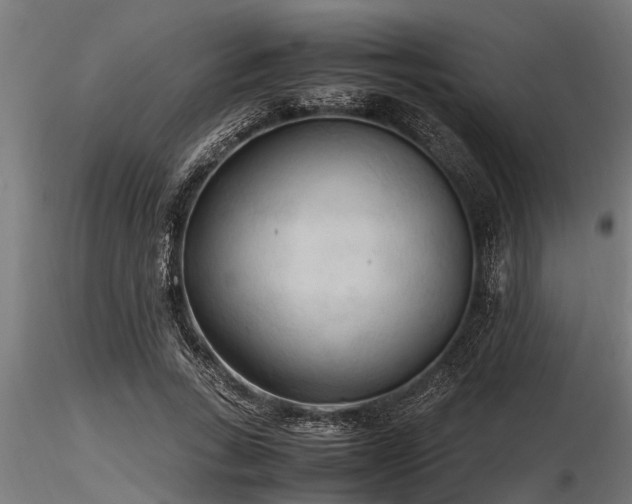 X0000116580735200912101540