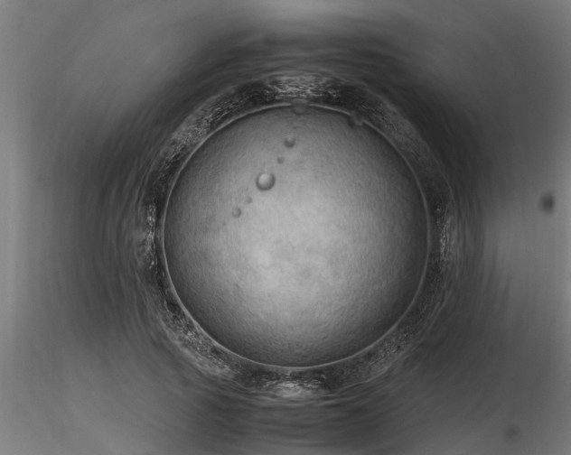 X0000116580737200912101540