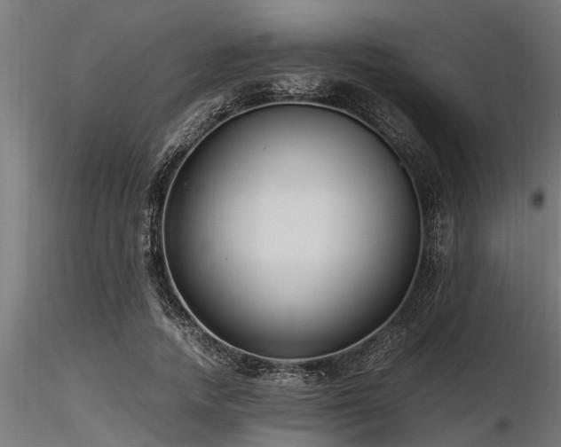 X0000116580738200912101540