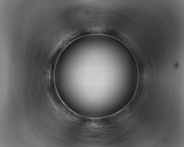 X0000116580739200912101540