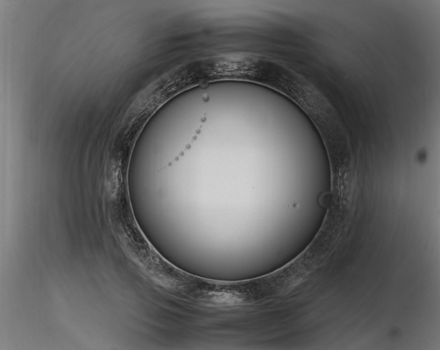 X0000116580741200912101540