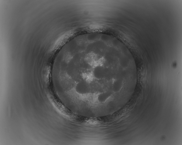 X0000116580742200912101540