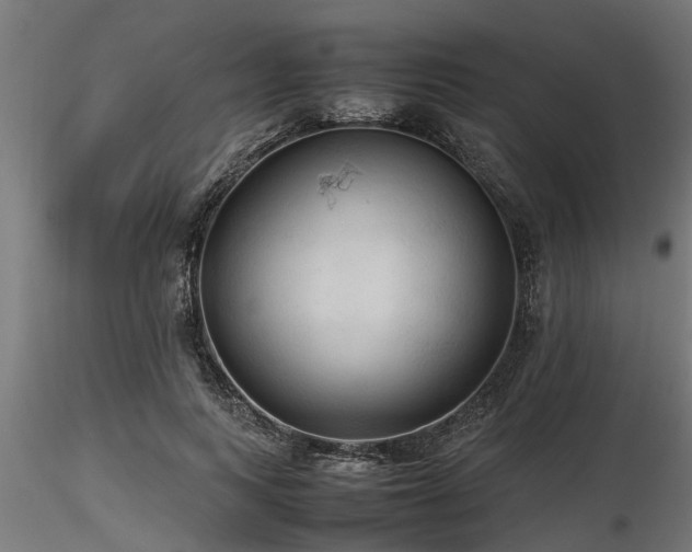 X0000116580743200912101540