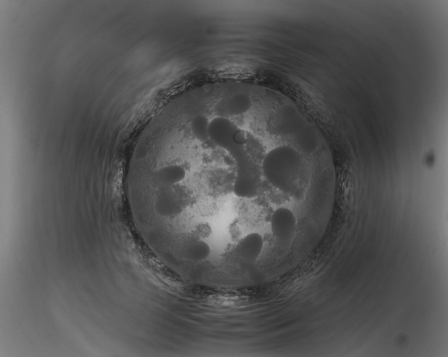 X0000116580745200912101540