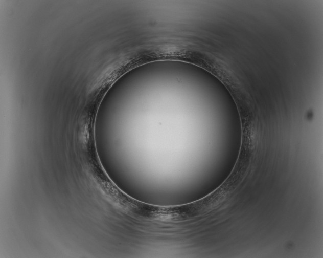 X0000116580746200912101540