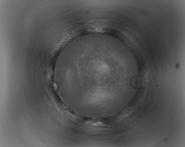 X0000116580747200912101540