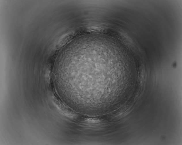 X0000116580749200912101540