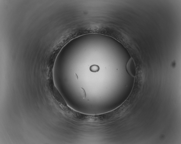 X0000116580750200912101540