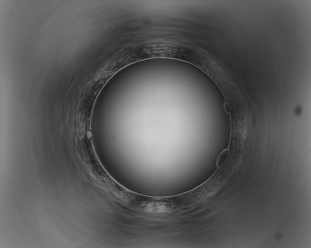 X0000116580751200912101540