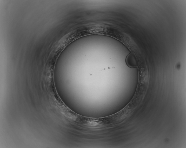 X0000116580753200912101540