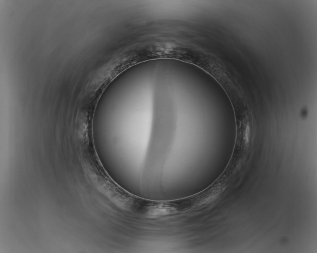 X0000116580754200912101540