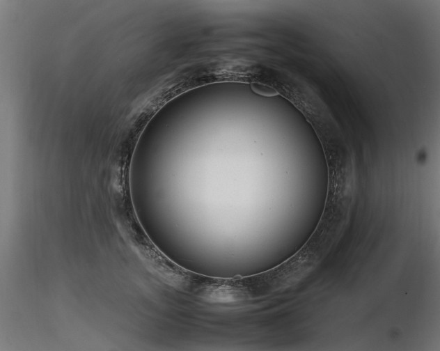 X0000116580755200912101540