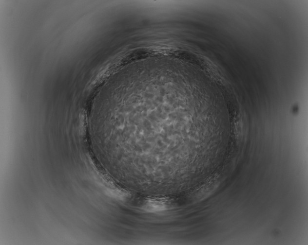 X0000116580757200912101540