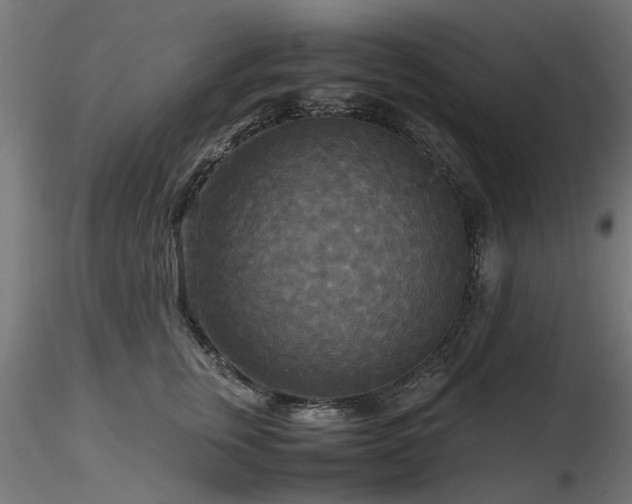 X0000116580759200912101540