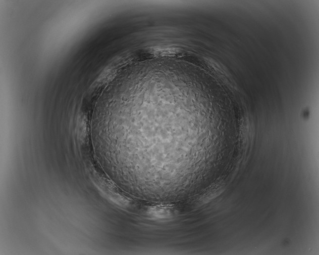 X0000116580761200912101540