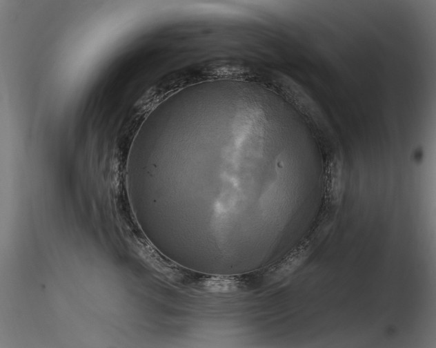 X0000116580762200912101540