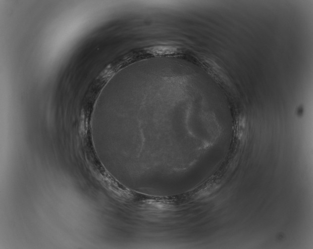 X0000116580763200912101540