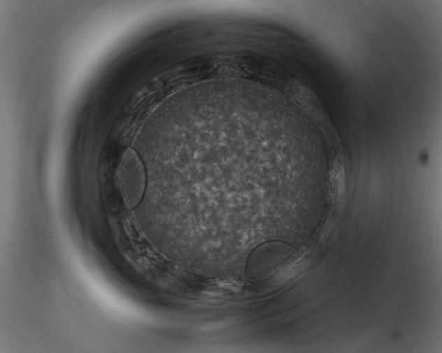 X0000116580765200912101540