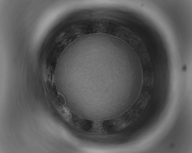 X0000116580766200912101540