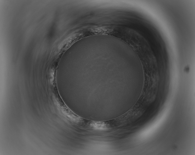 X0000116580767200912101540