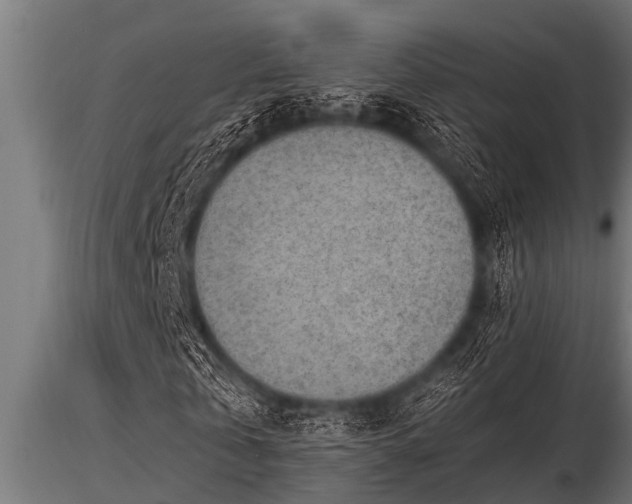 X0000116580769200912101539